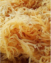 Rastarafi® Sea Moss Gel (Bulk) Irish Moss | 100% Pure Raw Wildcrafted Seamoss Superfood -(Unflavored /Gel)