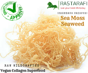 Rastarafi® Wholesale Sea Moss (10 Lbs)  Irish Moss | Raw Wildcrafted Superfood