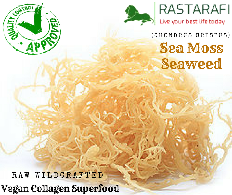 Rastarafi® Sea Moss (1 Lb) Irish Moss | Raw Wildcrafted Superfood (16 Oz)